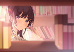  blurry blurry_background blurry_foreground blush book bookshelf bookshelf_pov brown_hair closed_mouth commentary_request depth_of_field female head_tilt highres library light_particles long_hair looking_at_viewer looking_to_the_side original portrait purple_eyes sailor_collar school_uniform serafuku shigure_ui sidelocks solo white_sailor_collar 