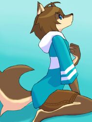  2016 3:4 anthro blue_background blue_eyes bottomwear brown_body brown_fur brown_hair canid canine canis clothing colored fur hair hi_res hoodie male mammal morenatsu shorts shun_(morenatsu) simple_background solo topwear totoken wolf 