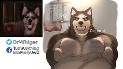  2021 anthro anthrofied canid canine canis countershading creepypasta crossed_arms dialogue domestic_dog dr.whiger duo english_text hi_res humor husky looking_at_viewer male mammal muscular muscular_anthro muscular_male nordic_sled_dog offscreen_character open_mouth open_smile photo smile smile.dog solo_focus spitz teeth text url watermark 