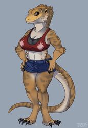  agamid anthro bearded_dragon breasts claws clothed clothing dbd female hands_on_hips lizard looking_at_viewer navel non-mammal_breasts reptile scalie simple_background solo standing 