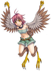  antenna_hair arms_up bare_shoulders belt bird blush claws collar female harpy harpy_(mamono_girl_lover) kenkou_cross kenkou_kurosu looking_at_viewer mamono_girl_lover midriff monster_girl monster_girl_encyclopedia navel pink_hair pointy_ears short_hair shorts simple_background smile solo tubetop white_background wings yellow_eyes 