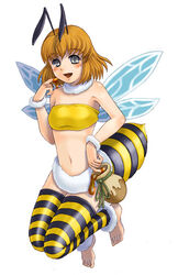  bee bee_girl bug female honey honeybee insect_girl insects kenkou_cross kenkou_kurosu mamono_girl_lover monster_girl monster_girl_encyclopedia wings 