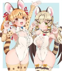  2girls animal_ears blue_background bow bowtie breasts brown_eyes brown_hair cat_ears cat_girl cat_tail drias elbow_gloves extra_ears geoffroy&#039;s_cat_(kemono_friends) gloves green_eyes grey_hair highres kemono_friends kemono_friends_v_project large-spotted_genet_(kemono_friends) leotard long_hair looking_at_viewer microphone multiple_girls ribbon simple_background socks tail thighhighs twintails virtual_youtuber 