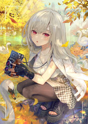  :o animal autumn_leaves bird black_footwear black_gloves blush breasts brown_pantyhose camera cleavage commentary english_commentary female fingerless_gloves full_body gloves greek_toe grey_hair grey_nails grey_skirt high-waist_skirt highres holding holding_camera ito_lab lake large_breasts long_hair looking_at_viewer nail_polish open_mouth original outdoors pantyhose red_eyes shirt skirt solo squatting swan toenail_polish toenails toes viewfinder wavy_hair white_shirt 