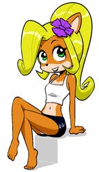  accessory activision anthro bandicoot barefoot blonde_hair bottomwear clothed clothing coco_bandicoot crash_(series) feet female flower flower_in_hair fully_clothed green_eyes hair hair_accessory mammal mario-grant marsupial midriff miniskirt navel plant ponytail shirt simple_background sitting skirt solo tank_top topwear white_background 