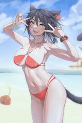  absurdres animal_ears beach bikini black_hair blue_eyes blue_sky blurry bomb_(final_fantasy) bracelet braid breasts brh cat_ears cat_tail cloud commentary_request depth_of_field double_v earrings feet_out_of_frame female final_fantasy final_fantasy_xiv green_eyes heterochromia highres jewelry large_breasts lipstick looking_at_viewer lower_teeth_only makeup midriff miqo&#039;te navel o-ring o-ring_bikini ocean oerba_yun_fang open_mouth pier red_bikini scrunchie short_hair single_earring sky smile solo swimsuit tail teeth v warrior_of_light_(ff14) wrist_scrunchie 