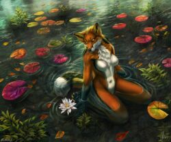  2019 5_fingers anthro aurru biped black_nose blonde_hair canid canine day detailed_background female fingers flower fox fur hair kneeling lily_pad mammal nude orange_body orange_fur outside partially_submerged plant reyna_(reynafox) solo water whiskers yellow_eyes 