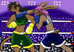  anthro arena boots bottomwear boxing bra breasts clothed clothing crowd deborah_bispo digital_media_(artwork) duo_focus felid female fight footwear gloves group guard handwear hit inside kadmiel_dyne lagomorph leporid mammal punch rabbit right_hook ring shorts sport sports_bra underwear violence wendel_fragoso 