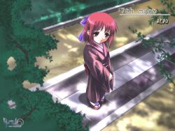  kohaku shingetsutan_tsukihime tagme 