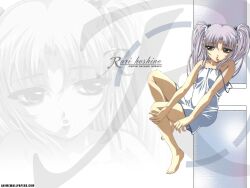  gotoh_keiji hoshino_ruri martian_successor_nadesico nadesico tagme 