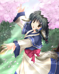  aikawa_fuugetsu ainu_clothes animal_ears aruruu black_hair bow brown_eyes cherry_blossoms day female grass hair_tubes long_sleeves looking_at_viewer open_mouth outdoors petals red_bow robe smile solo standing tail tree twintails utawarerumono white_robe wide_sleeves 