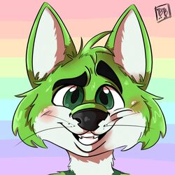  1:1 anthro black_nose blush bonybones canid canine digital_media_(artwork) eyebrows fidget_the_fox fox fur green_body green_eyes green_fur headshot_portrait hi_res icon lgbt_pride looking_at_viewer male mammal portrait pride_colors rainbow rainbow_background rainbow_pride_colors shading_eyes signature simple_background solo teeth whiskers white_body white_fur 