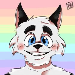  1:1 anthro black_ears black_eartips black_nose blue_eyes blush bonybones canid canine canis coda_the_wolf digital_media_(artwork) eyebrows fur grin headshot_portrait hi_res icon inner_ear_fluff lgbt_pride looking_at_viewer male mammal portrait pride_colors rainbow rainbow_background rainbow_pride_colors shading_eyes signature simple_background smile solo teeth teeth_showing tuft white_body white_fur wolf 