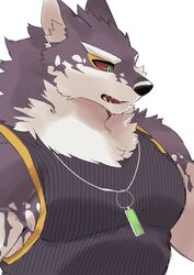  absurd_res anthro canid canine canis clothing domestic_dog fur green_eyes hi_res husky jewelry lifewonders live_a_hero male mammal monomasa multicolored_body multicolored_fur muscular muscular_anthro muscular_male necklace nokia1124_a nordic_sled_dog pecs red_sclera shirt solo spitz tank_top topwear 