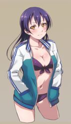  :| beige_background bikini blue_hair blush breasts cleavage closed_mouth collarbone commentary cowboy_shot cropped_legs female front-tie_bikini_top front-tie_top hands_in_pockets jacket long_hair long_sleeves love_live! love_live!_school_idol_project medium_breasts navel open_clothes open_jacket orange_eyes purple_bikini solo sonoda_umi swimsuit turkey_min 