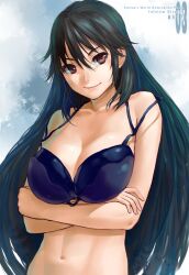  black_hair bra breast_hold breasts brown_eyes cleavage commentary crossed_arms female highres infinite_stratos large_breasts lasterk lingerie long_hair navel orimura_chifuyu photoshop_(medium) smile solo strap_slip underwear 