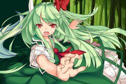  bamboo commentary_request dress ex-keine female foreshortening green_hair hands highres horns kamishirasawa_keine long_hair mikan_(bananoha) open_mouth red_eyes solo touhou 