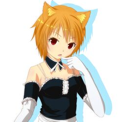  animal_ears breasts brown_hair cat_ears cleavage commentary_request elbow_gloves female gloves kurohachiboku looking_at_viewer maid medium_breasts original red_eyes short_hair solo white_gloves 