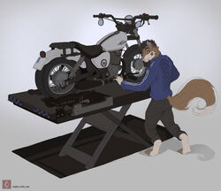  amarian anthro brown_body brown_fur canid canine clothed clothing detailed digital_media_(artwork) fur hair looking_back male mammal motorcycle paws simple_background solo suzuki vehicle 