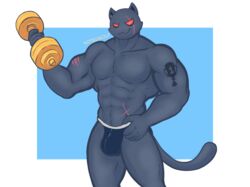  &gt;:3 2022 abs anthro bulge clothing domestic_cat dumbbell epic_games exercise exercise_equipment felid feline felis fortnite hand_on_hip hi_res hyper jockstrap looking_at_viewer male mammal meowscles meowscles_(shadow) muscular muscular_male navel nipples notedwolf scar simple_background solo speedo swimwear tattoo underwear weightlifting weights workout 