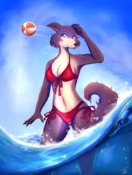  1smallduckling 2021 anthro ball beach_ball beastars bikini biped blue_eyes breasts brown_body brown_fur canid canine canis claws cleavage clothed clothing digital_media_(artwork) eyebrows eyelashes female finger_claws front-tie_bikini front-tie_clothing front-tie_swimwear fur hi_res inflatable juno_(beastars) mammal multicolored_body multicolored_fur navel outside partially_submerged red_clothing red_swimwear sea side-tie_bikini side-tie_clothing side-tie_swimwear sky solo standing string_bikini swimwear tied_bikini tied_clothing two_tone_body two_tone_fur water white_body white_fur wolf 