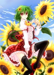  ascot between_legs black_thighhighs blue_sky cloud commentary_request day female flower garter_straps green_hair hair_flower hair_ornament hand_between_legs highres kazami_yuuka lace lace-trimmed_legwear lace_trim lily_(flower) mickey_dunn plaid plaid_skirt plaid_vest red_eyes shirt short_hair sitting sitting_on_object skirt skirt_set sky solo sunflower thighhighs touhou vest zettai_ryouiki 