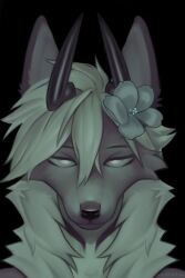  2_horns accessory anthro black_horn black_markings canid canine ear_markings flower flower_in_hair fox fur glowing glowing_eyes grey_body grey_fox grey_fur hair hair_accessory hi_res horn hybrid looking_at_viewer male mammal mane markings neck_markings plant portrait serious_face solarflare02 solo tired_eyes urocyon white_eyes white_hair white_mane xavier_(solarflare02) 