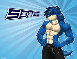  2010 anthro clothed clothing eulipotyphlan hedgehog looking_at_viewer male mammal muscular muscular_anthro muscular_male navel saillestraife sega solo sonic_the_hedgehog sonic_the_hedgehog_(series) teal_eyes topless 