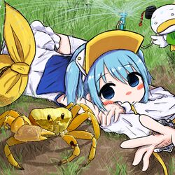  1:1 ah-kun ambiguous_gender anatid anseriform anthro arthropod avian bird bubbacterial clothed clothing crab crustacean decapoda duck female feral grass group hi_res human ink_nijihara malacostracan male_(lore) mammal marine moetan plant trio what young young_female young_human 