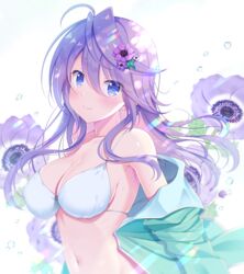  ahoge anemone_(flower) anemone_(flower_knight_girl) aqua_jacket armpits bare_shoulders bikini blue_eyes breasts cleavage covered_nipples female flower flower_knight_girl hair_between_eyes hair_flower hair_ornament jacket large_breasts long_hair long_sleeves looking_at_viewer name_connection naruse_mamoru navel object_namesake off_shoulder open_clothes open_jacket purple_flower purple_hair smile solo stomach string_bikini swimsuit wet white_background white_bikini 