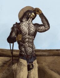  absurd_res anthro avian beak belt bird bottomwear chaps clothing cowboy cowboy_hat denim denim_bottomwear denim_clothing falcon falconid feathers field hat headgear headwear hi_res jeans looking_at_viewer male momamo muscular muscular_anthro muscular_male pants peregrine_falcon shirtless simple_background solo 