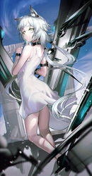  absurdres animal_ears arknights back bare_shoulders breasts dress female gloves highres hiyaori_(hiyahiyaval) long_hair looking_at_viewer rosmontis_(arknights) rosmontis_(become_anew)_(arknights) sleeveless sleeveless_dress solo white_dress white_hair 