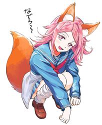  :d absurdres animal_ear_fluff animal_ears baburo blue_serafuku blue_skirt brown_footwear cardigan cardigan_around_waist clothes_around_waist commentary_request female fox_ears fox_girl fox_tail from_above full_body head_tilt highres kemonomimi_mode kunichika_yuu loafers long_hair long_sleeves looking_at_viewer looking_up loose_socks miniskirt neckerchief oerba_yun_fang open_mouth outstretched_arms pink_eyes pink_hair red_neckerchief school_uniform serafuku shoes simple_background skirt smile socks solo squatting tail uniform white_socks world_trigger 