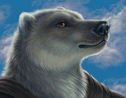  ambiguous_gender anthro bear black_nose blue_sky brown_clothing bust_portrait clothing cloud fur male_(lore) mammal polar_bear portrait rukis sky solo story story_in_description topwear tulimak_(rukis) ursine whiskers white_body white_fur yellow_eyes 