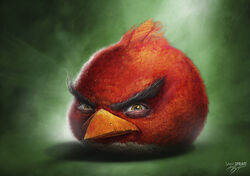  2010 angry angry_birds artist_name avian beak bird bodily_fluids crying feathers feral frown frown_eyebrows goes_hard green_background half-closed_eyes lol_comments narrowed_eyes orange_beak realistic red_(angry_birds) red_body red_feathers rovio_entertainment sam_spratt sega signature simple_background solo tears 