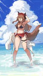  :d animal_ears bikini black_bikini blue_sky breasts brown_eyes brown_hair cleavage cloud cloudy_sky day female full_body hair_between_eyes halterneck hand_on_headwear hand_up highres jacket lansane large_breasts looking_at_viewer navel open_mouth original outdoors red_headwear side-tie_bikini_bottom sky smile solo stomach string_bikini swimsuit tail thighs tsana_(lansane) unworn_jacket wading water white_jacket wolf_ears wolf_girl wolf_tail 