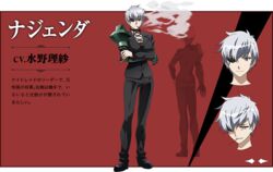  akame_ga_kill! akame_ga_kill!_character_sheet character_sheet eyepatch female grey_hair mechanical_arm najenda official_art purple_eyes simple_background smoking solo 