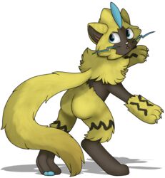  2018 69beas alpha_channel ambiguous_gender anthro ass digital_media_(artwork) felid fluffy fluffy_tail generation_7_pokemon legendary_pokemon mammal nintendo pokemon pokemon_(species) simple_background solo tail transparent_background zeraora 