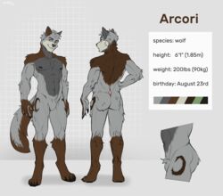  2022 5_fingers abs absurd_res anthro arcori areola arm_tuft ass back_muscles biceps big_muscles biped black_areola black_claws black_nails black_nipples black_pawpads boots_(marking) brown_body brown_fur butt_muscles canid canine canis character_name cheek_tuft chest_tuft claws color_swatch colored colored_nails crotch_tuft deaddomovec deltoids digital_drawing_(artwork) digital_media_(artwork) digitigrade elbow_tuft english_text eyebrows facial_tuft featureless_crotch feet fingers fluffy fluffy_tail forearm_muscles front_view full-length_portrait fur fur_markings geometric_background gloves_(marking) green_eyes grey_background grey_body grey_fur grey_hair grey_nose grid_background hair hand_on_hip head_tilt hi_res hindpaw humanoid_hands information looking_at_viewer male mammal markings measurements model_sheet multiple_poses muscular muscular_anthro muscular_butt muscular_male muscular_thighs nails neck_tuft nipples nude obliques pattern_background pawpads paws pecs portrait pose quads rear_view serratus shoulder_tuft side_view simple_background smile smiling_at_viewer smirk solo species_name tail tan_body tan_fur text toes triceps tuft v-cut wolf 