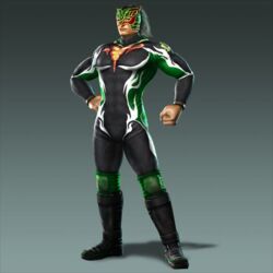  alternate_costume mask shin_sangoku_musou wei_yan wrestler 