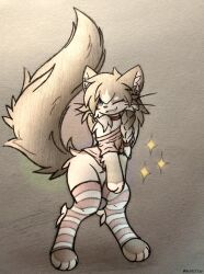  absurd_res ambiguous_gender blush choker clothing del_(artist) domestic_cat exposed_shoulder felid feline felis female_(lore) footwear hi_res jewelry legwear mammal necklace ragdoll_cat semi-anthro shirt socks solo star thigh_highs topwear whiskers 