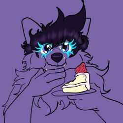  anthro black_hair black_nose blue_eyes cake cake_slice cheek_tuft crumbs dessert eating eating_food facial_tuft fluffy food hair hi_res holding_object holding_plate male neck_tuft sad_tobey sillybilly solo tuft 