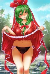  bow breasts clothes_lift dress dress_lift female frilled_dress frilled_ribbon frills front_ponytail green_eyes green_hair hair_ribbon highres kagiyama_hina looking_at_viewer nunnun_(shunka_shuutou) puffy_short_sleeves puffy_sleeves red_bow red_ribbon ribbon short_sleeves smile solo touhou 