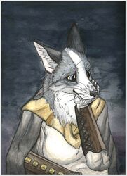  anthro armor blue_eyes border bracers canid canine caristinn claws cloak clothing corsack female fox grey_border mammal robe shirt solo topwear tunic whitemark 