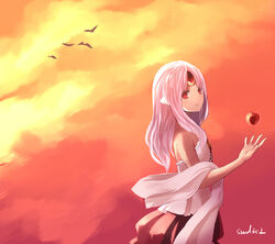  apple apple_(elsword) artist_name bad_id bad_pixiv_id bird code:_empress_(elsword) elsword eve_(elsword) female food forehead_jewel fruit long_hair name_connection no_nose object_namesake pink_hair red_apple red_eyes red_skirt shawl signature skirt sky solo sunset swd3e2 