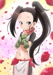  absurdres bad_id bad_pixiv_id black_eyes black_hair black_shorts blush brown_eyes crop_top female fingerless_gloves forehead gloves green_gloves groin high_ponytail highres kunoichi_tsubaki_no_mune_no_uchi long_hair midriff navel ninja official_art pelvic_curtain petals red_scarf riokasen scarf short_sleeves shorts tsubaki_(kunoichi_tsubaki_no_mune_no_uchi) 