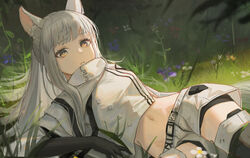  animal_ears arknights bike_shorts bike_shorts_under_shorts black_gloves black_shorts clothes_writing commentary cowboy_shot cropped_jacket female flower gloves grass highres horse_ears horse_girl long_hair looking_at_viewer midriff navel platinum_(arknights) purple_flower shorts sidelocks solo symbol-only_commentary tadano_tarako white_hair white_shorts yellow_eyes 