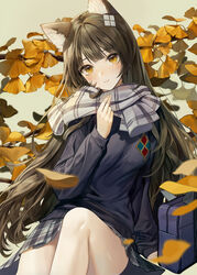  alternate_costume animal_ear_fluff animal_ears bad_id bad_pixiv_id bag black_hair blue_sweater blush branch breasts cat_ears commentary_request female girls&#039;_frontline grey_background grey_scarf hair_ornament highres large_breasts leaf long_hair long_sleeves myoushun official_alternate_costume plaid plaid_skirt scarf school_bag school_uniform skirt smile solo sweater type_95_(girls&#039;_frontline) type_95_(pure_white_graduation)_(girls&#039;_frontline) yellow_eyes 