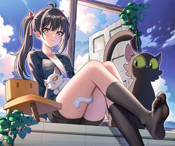  absurdres ahoge animal animal_ears animal_on_lap black_cat black_shorts black_socks blue_jacket chair closed_mouth cloud commentary daijin_(suzume) door fanged_bangs feet feline female foot_out_of_frame hair_between_eyes hair_ornament hairclip highres iwato_suzume jacket knees_together_feet_apart legs legs_together lone_nape_hair long_hair long_sleeves looking_at_viewer lulalalaa munakata_souta munakata_souta_(chair) no_shoes on_lap open_clothes open_door open_jacket ponytail red_ribbon ribbon sadaijin_(suzume) scenery shirt shorts sitting skirt sky smile socks soles solo suzume&#039;s_chair suzume_no_tojimari tail thighs toes white_cat white_shirt x_hair_ornament yellow_eyes 