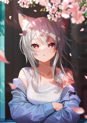  :&lt; animal_ear_fluff animal_ears bare_shoulders blue_jacket blurry breasts cat_ears cat_girl cherry_blossoms closed_mouth collarbone commentary dappled_sunlight day depth_of_field eyelashes female flower from_outside grey_hair hair_between_eyes highres jacket leaning_out_of_window long_hair long_sleeves looking_at_viewer nima_(niru54) off_shoulder open_window original petals pink_flower red_eyes sleeveless solo sunlight symbol-only_commentary upper_body wind window 